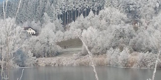 Erlensee im Winter mit Schnee, © Loanerland