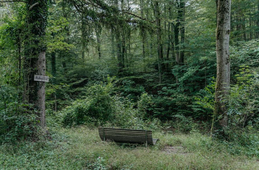 Liege mit Blick auf die Alz im Wald, © Inn-Salzach Tourismus