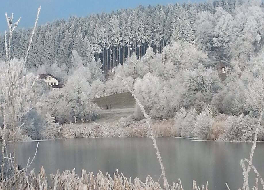 Erlensee im Winter mit Schnee, © Loanerland