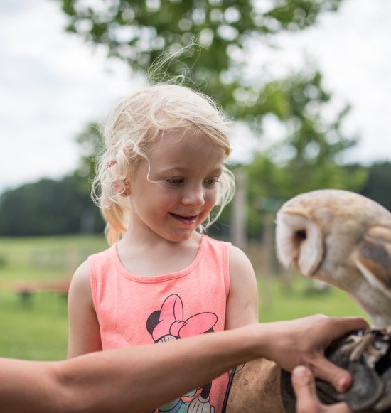 Zu Besuch in der Falknershow des Wildfreizeitparks Oberreith, © Inn-Salzach Tourismus