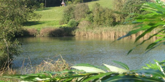 Erlensee im Sommer, © Loanerland