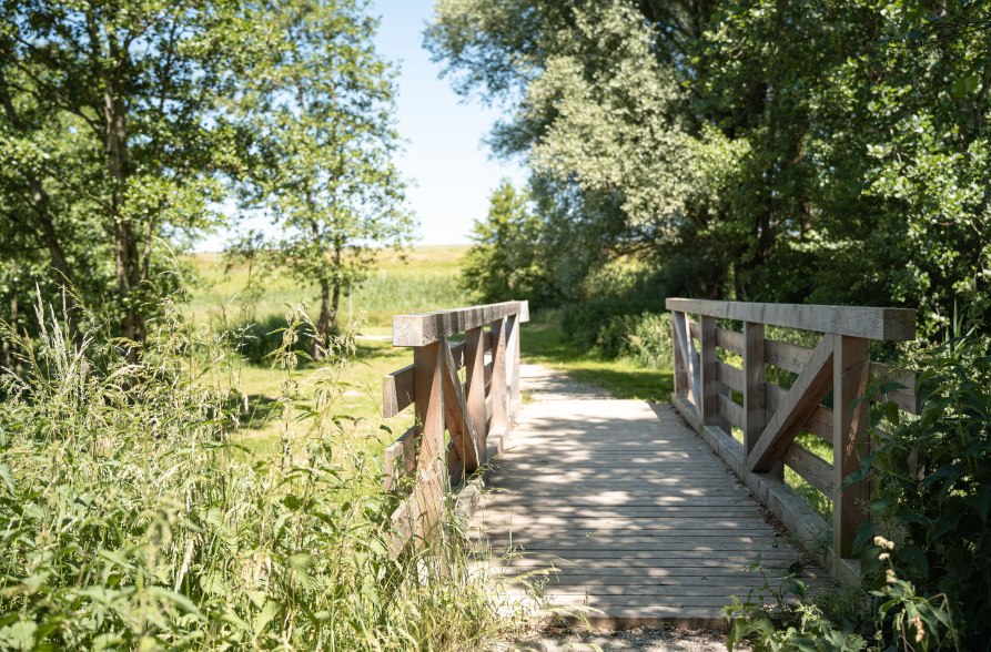 Brücke über den Flossinger See, © Inn-Salzach Tourismus