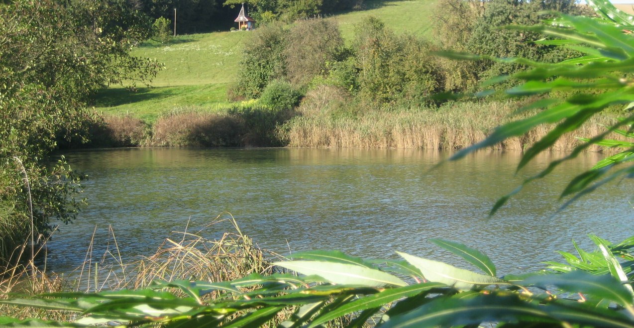 Erlensee im Sommer, © Loanerland