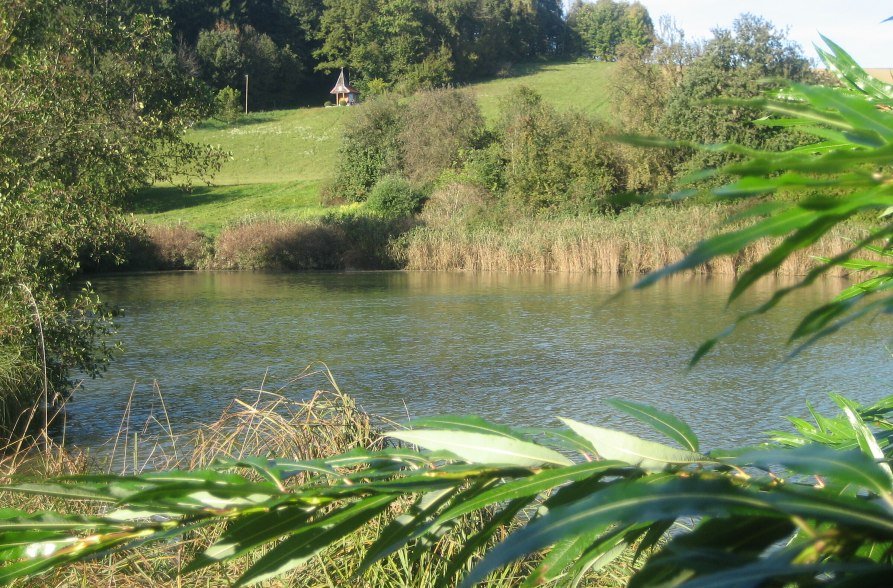 Erlensee im Sommer, © Loanerland