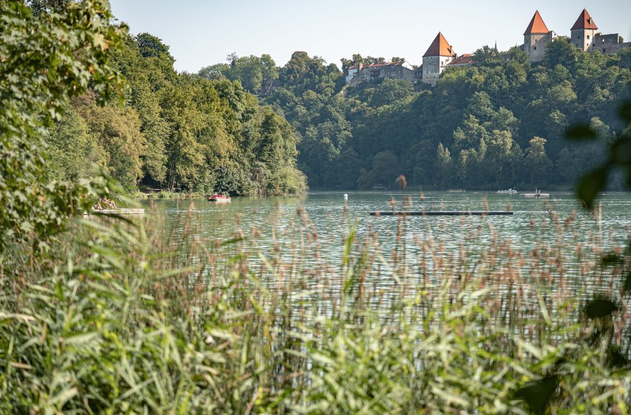 Baden im Wöhrsee im Sommer, © Inn-Salzach Tourismus