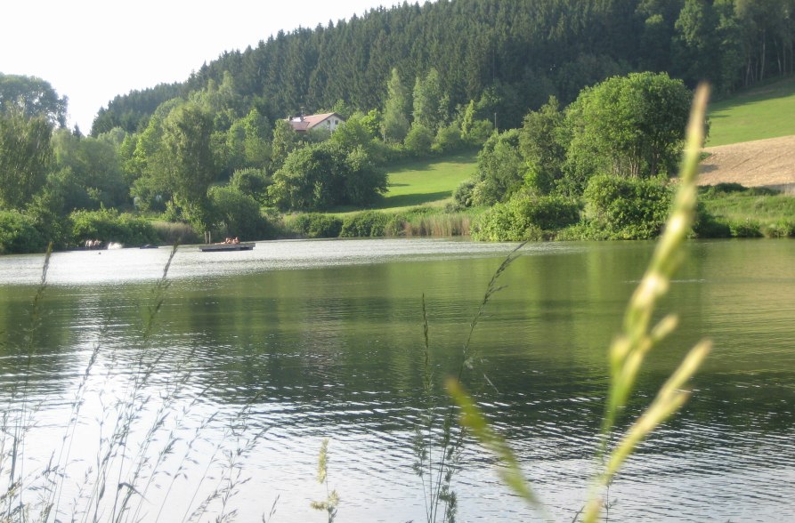 Erlensee im Sommer, © Loanerland