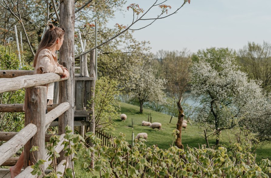 Frau blickt vom Campingplatz auf den Marklter Badesee, © Inn-Salzach Tourismus