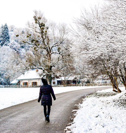 Winterwanderung in der Inn-Salzach Region, © Inn-Salzach Tourismus