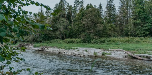 Liegewiese an der Alz, © Inn-Salzach Tourismus