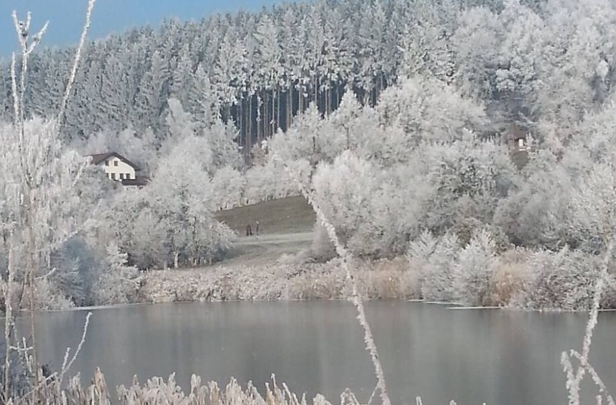 Erlensee im Winter mit Schnee, © Loanerland